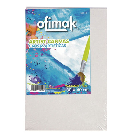 CANVAS ARTÍSTICA